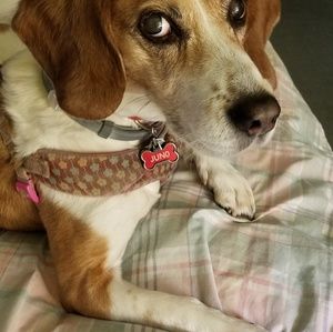 Meet your Posher, Mary ellen